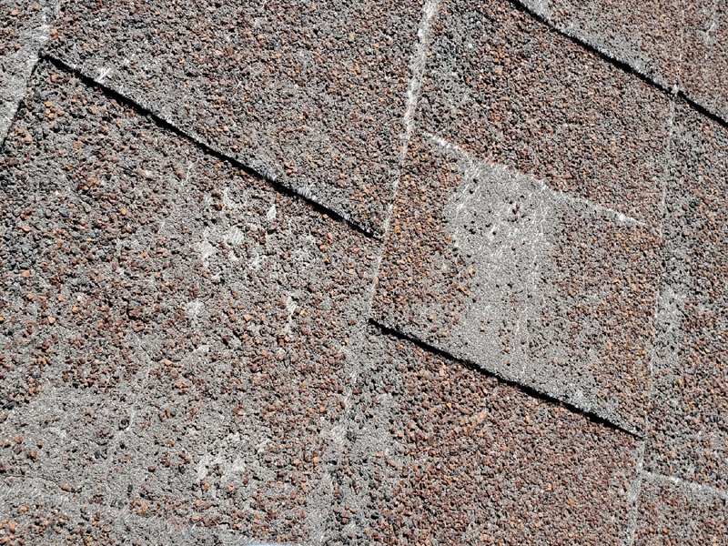 Understanding Shingle Granule Loss Causes, Effects, and Solutions